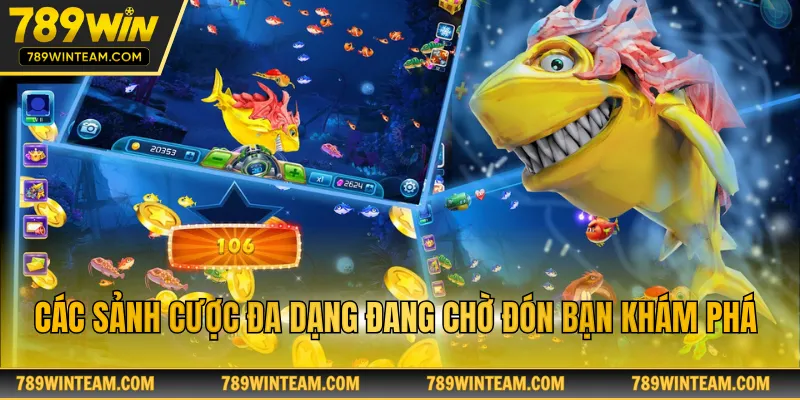 Các sảnh cược đa dạng đang chờ đón bạn khám phá