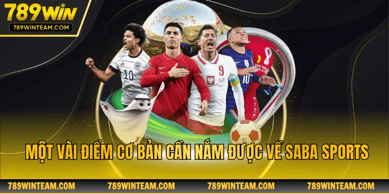 Một vài điểm cơ bản cần nắm được về saba sports
