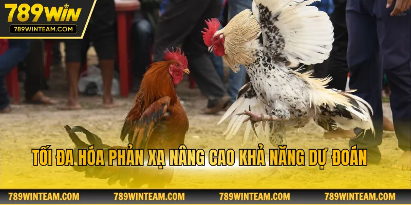 Tối đa hóa phản xạ nâng cao khả năng dự đoán